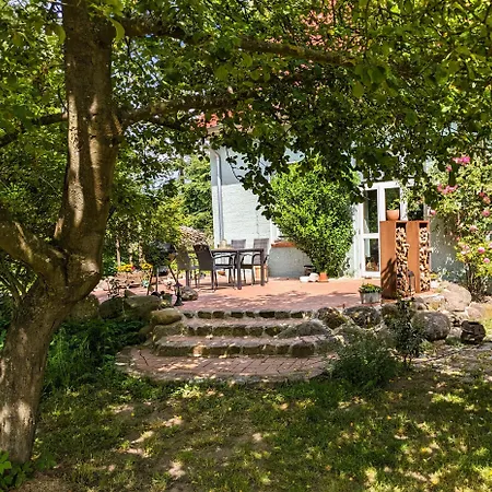Ferienhaus Salvia Gremersdorf-Buchholz Exterior photo