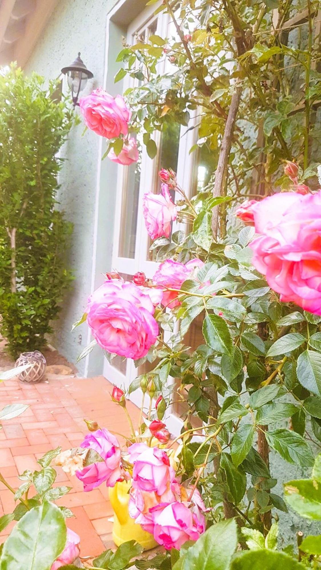 Appartement Salvia