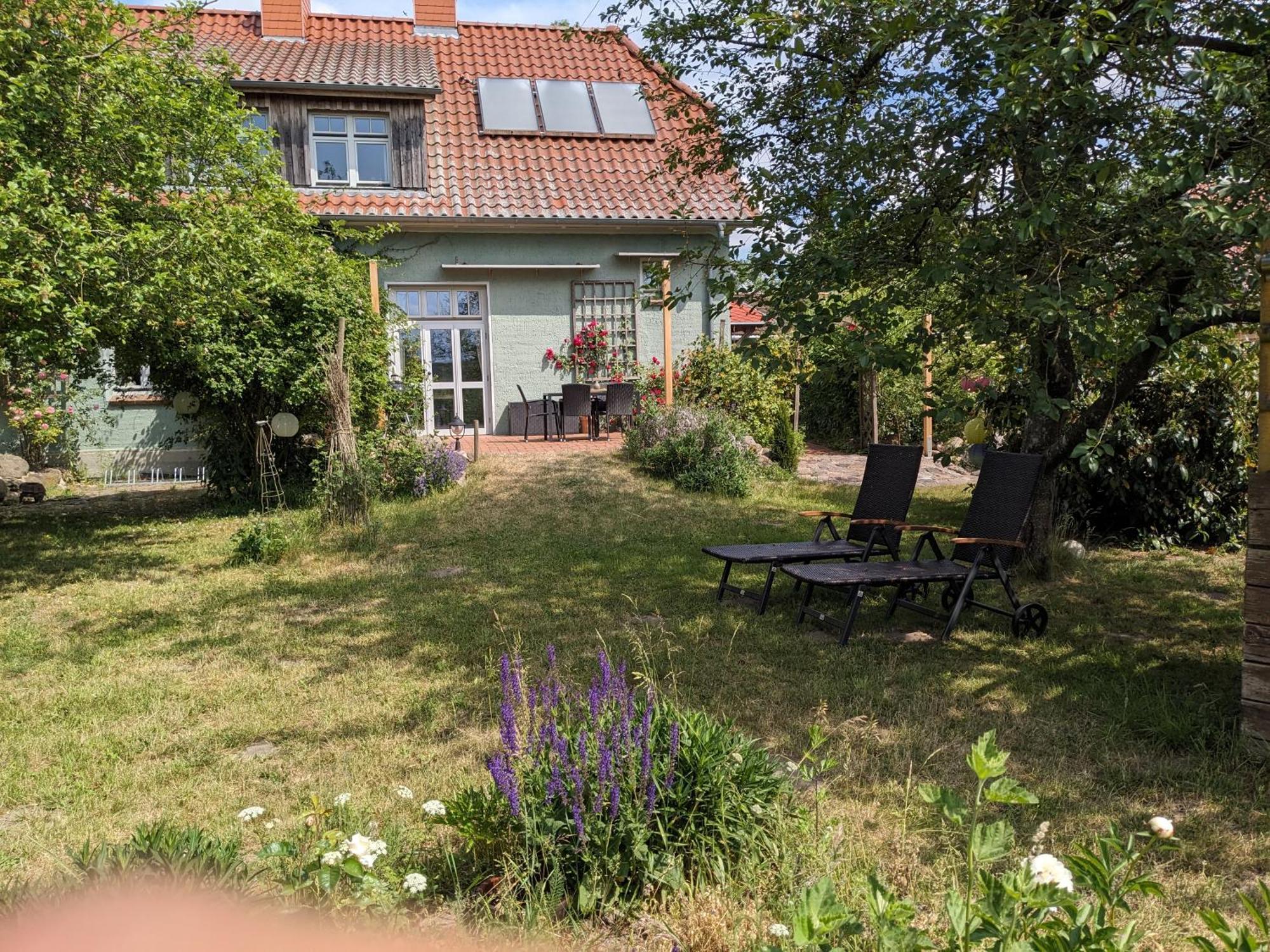 Salvia Apartment Gremersdorf-Buchholz